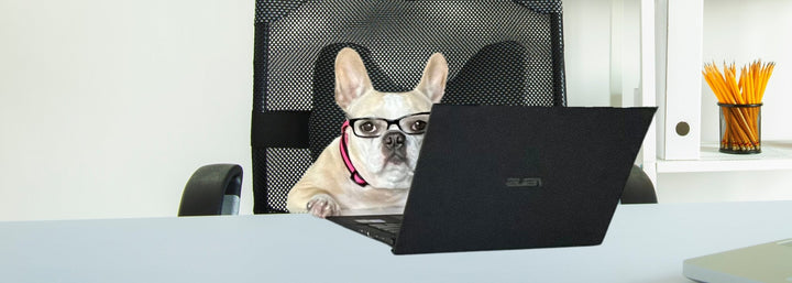 Funny Dog Quotes - French Bulldog at desk with poker face and eyeglasses - Wag Trendz®