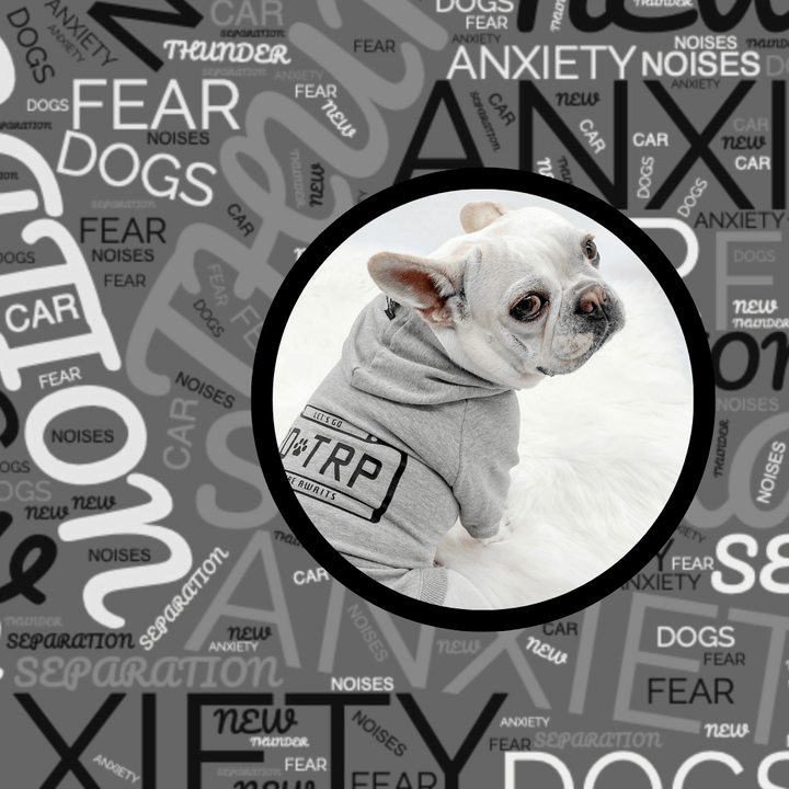 Anxiety In Dogs - French Bulldog wearing gray Road Trip dog hoodie - Wag Trendz®