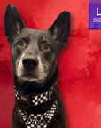 Reflective dog collar and matching checkered harness on a black dog against a solid red textured background