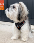 Dog Collar Harness and Leash Set - Small dog wearing Medium Dog Adjustable Harness in black & gray camo with bold orange accents - sitting outdoors in the green grass - Wag Trendz