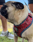 Dog Harness and Leash Set - Pug wearing Bandana Boujee Dog Harness Red with Denim Accents - sitting outdoors on grass - Wag Trendz