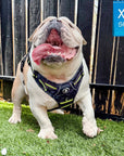 Dog Harness and Leash Set - English Bulldog wearing black and gray camo no pull dog harness with hi vis accents - sitting outdoors in the grass - Wag Trendz