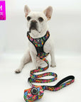 Dog Harness and Leash Set - French Bulldog wearing a medium no pull dog harness with handle - multi colored Street Graffiti - with matching adjustable leash and poop bag holder - against solid white background - Wag Trendz