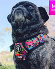 Dog Harness and Leash Set - No Pull - Handle - Pug wearing multi colored Street Graffiti dog harness - backside view - sitting outdoors in the green grass - Wag Trendz