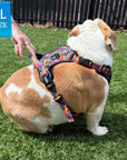 Dog Harness and Leash Set - No Pull - Handle - English Bulldog wearing multi colored Street Graffiti dog harness - back side view - sitting outdoors in the green grass - Wag Trendz