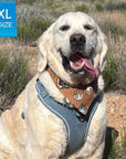 Harness and Leash Set + Poop Bag Holder - Yellow Lab wearing Downtown Denim Dog Harness with reflective accents - sitting outside - Wag Trendz