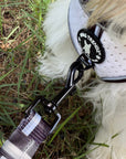 Small dog wearing a white dog harness with a black leash attached, sitting in the grass.