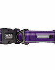 NeoCool™ Sport Dog Collar in Purple with reflective Wag Trendz branding on a white background