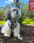 Small dog wearing a NeoCool Sport Dog Harness in an outdoor setting with a 'XS Size' label