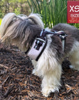 Small dog wearing a NeoCool Sport dog harness in a natural setting with an 'XS Size' label.