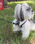 Small Dog wearing a white NeoCool™ Sport Dog Harness with Black accents on a leash sitting in grass with an 'XS Size' label.