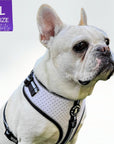 French Bulldog wearing NeoCool™ Sport Dog Harness in White with Black accents with a size label on a white background