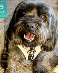 Dog wearing a NeoCool Sport Dog Harness with a size label in the corner