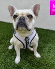 Cream French Bulldog wearing a White NeoCool™ Sport Dog Harness on green grass with a pink 'M' size label in the corner.