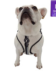 French Bulldog wearing NeoCool™ Sport No Pull Dog Harness in White with Black accents with a size label on a white background