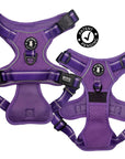 NeoCool™ Sport Dog Harnesses with Handle in purple with medium and light purple accents with visible branding and a 'Patent Pending' logo on a white background.