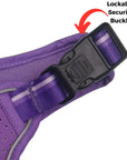 NeoCool™ Sport Dog Harness with Handle in purple with medium and light purple accents with close up of lockable security buckle on a white background