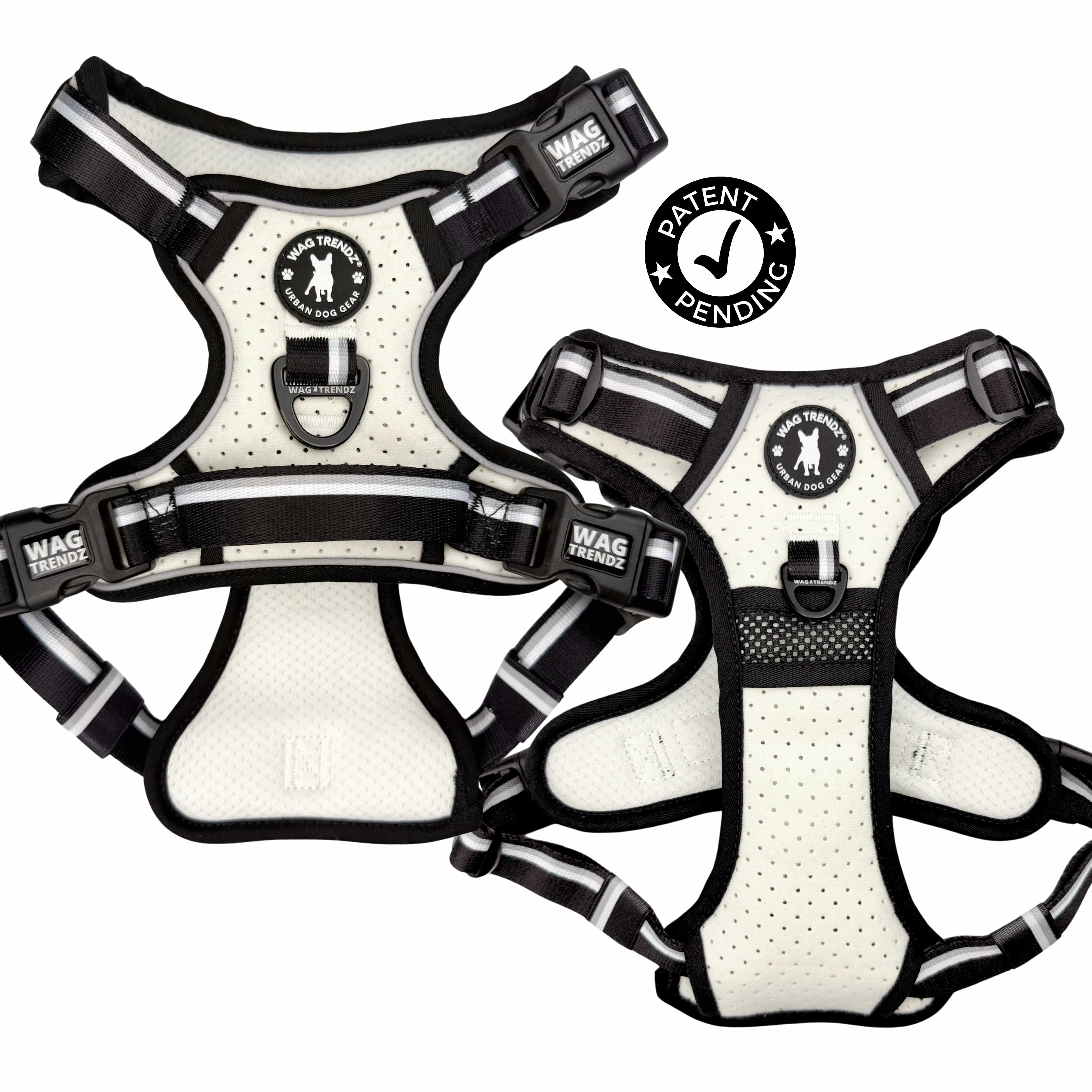 neocool-sport-dog-harness-with