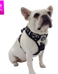 French Bulldog wearing a NeoCool™ Sport No Pull Dog Harness With Handle in white with black and gray accents on a white background