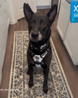 Large dog wearing a NeoCool™ Sport Dog Harness With Handle in white with black and gray accents with matching reflective dog collar sitting on a patterned rug in a home setting with an 'XL Size' label in the corner.