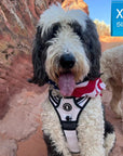 Large Dog wearing a NeoCool™ Sport Dog Harness With Handle in white with black and gray accents with a scenic background
