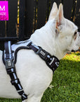 French Bulldog wearing a NeoCool™ Sport Dog Harness With Handle in white with black and gray accents on grass with a blurred background