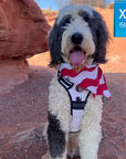 Large Dog wearing a NeoCool™ Sport Dog Harness With Handle in white and black with red and white bandana in a desert setting, XL size label visible.
