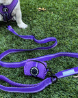 NeoCool Sport Poop Bag Holder in Purple - French Bulldog puppy wearing NeoCool™ Sport Harness with matching Poop Bag Holder attached to matching leash in the grass