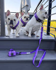 NeoCool™ Sport Poop Bag Holder | Purple