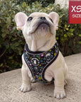 No Pull Dog Harness - Frenchie Bulldog puppy wearing Skull Society no pull dog harness with multicolored graphics in yellow, blue, purple with black background - sitting on sidewalk with green bushes in the background - Wag Trendz