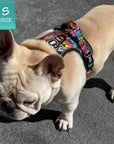 No Pull Dog Harness - with handle - French Bulldog wearing a small multi colored Street Graffiti no pull dog harness with matching leash and poop bag holder attached - sitting on sidewalk- Wag Trendz
