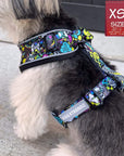No Pull Dog Harness - Mix Breed dog wearing Skull Society no pull dog harness with multicolored graphics in yellow, blue, purple with black background - chest and back side - sitting outdoors - Wag Trendz