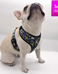 No Pull Dog Harness - French Bulldog wearing Skull Society no pull dog harness with multicolored graphics in yellow, blue, purple with black background - against solid white background - Wag Trendz