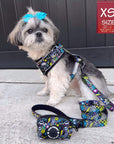 No Pull Dog Harness - Shih Tzu mix wearing Skull Society no pull dog harness, matching leash and poop bag holder attached - with multicolored graphics in yellow, blue, purple with black background - sitting outdoors - Wag Trendz