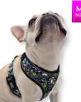 No Pull Dog Harness - French Bulldog wearing Skull Society no pull dog harness with multicolored graphics in yellow, blue, purple with black background - against solid white background - Wag Trendz