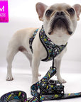 No Pull Dog Harness - French Bulldog wearing Skull Society no pull dog harness with multicolored graphics in yellow, blue, purple with black background and matching leash and poop bag holder attached to front clip - against solid white background - Wag Trendz