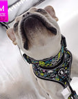 No Pull Dog Harness - French Bulldog wearing Skull Society no pull dog harness and matching collar with multicolored graphics in yellow, blue, purple with black background - against solid white background - Wag Trendz