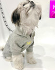 Hooded Sweatshirt For Dogs - Shih Tzu looking up wearing "Sunny Days" hooded sweatshirt in gray - front view with modern yellow sunshine emoji and dog leash attached through leash hole - against solid white background - Wag Trendz