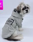 Hooded Sweatshirt For Dogs - Shih Tzu mix wearing "Road Trip" hooded sweatshirt with license plate design in gray - back view - against solid white background - Wag Trendz