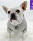 Hooded Sweatshirt For Dogs - French Bulldog wearing "Road Trip" hooded sweatshirt with license plate design in gray - Volkswagen Bus with paw print emoji on front chest - against solid white background - Wag Trendz
