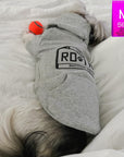 Hooded Sweatshirt For Dogs - Shih Tzu mix wearing "Road Trip" Hooded Sweatshirt with License Plate design in gray - back view - laying on the bed sleeping with orange tennis ball toy - Wag Trendz