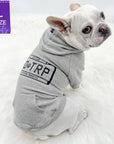 Hooded Sweatshirt For Dogs - French Bulldog wearing "Road Trip" hooded sweatshirt with license plate design in gray - back view against solid white background - Wag Trendz