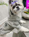 Hooded Sweatshirt For Dogs - Shih Tzu wearing “SPOILED” hooded sweatshirt in gray - side view with SPOILED in black lettering - indoors standing at the table - Wag Trendz