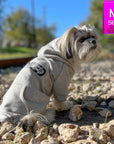Hooded Sweatshirt For Dogs - Small dog wearing “SPOILED” hooded sweatshirt in gray - backside view with SPOILED in black lettering - outdoors on a railroad track - Wag Trendz