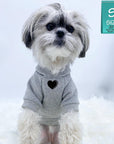 Hooded Sweatshirt For Dogs - Shih Tzu wearing “SPOILED” hooded sweatshirt in gray - front chest has a solid heart emoji - against a solid white background - Wag Trendz