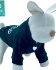 Hooded Sweatshirt For Dogs - Stuffed white dog wearing “SPOILED” hooded sweatshirt in black - backside has SPOILED in white lettering front chest has a solid heart emoji - against a solid white background - Wag Trendz