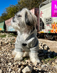 Hooded Sweatshirt For Dogs - Small dog wearing “SPOILED” hooded sweatshirt in gray - front chest has a solid black heart emoji - outdoors with graffiti train cars in background - Wag Trendz