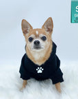 Hooded Sweatshirt For Dogs - Chihuahua wearing "Stay Pawsitive" hooded sweatshirt in black - front view with paw print - against solid white background - Wag Trendz