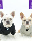 Hooded Sweatshirt For Dogs - French Bulldogs wearing "Stay Pawsitive" hooded sweatshirts in gray and black - front view with paw print - against solid white background - Wag Trendz