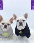 Hooded Sweatshirts For Dogs -French Bulldogs wearing "Sunny Days" hooded sweatshirts in black and gray - front chest view has a modern yellow sunshine emoji - against solid white background - Wag Trendz